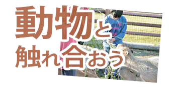 動物と触れ合おう