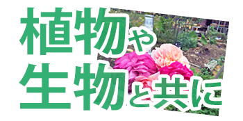 植物や生物と共に