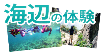 海辺の体験