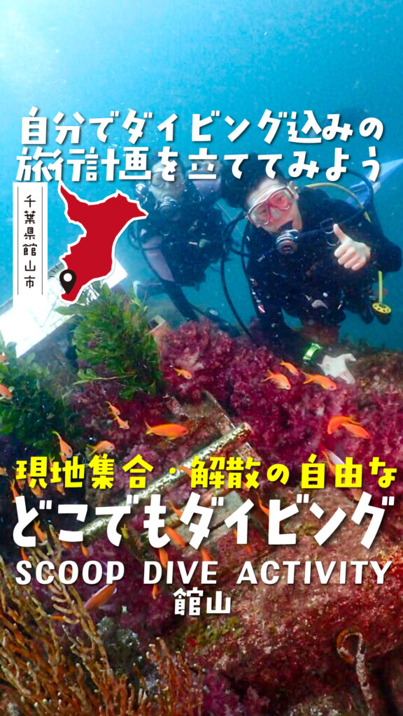 SCOOP DIVE ACTIVITY ダイビング体験