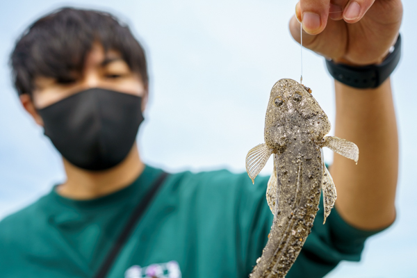海釣り体験