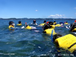 beaches_snorkeling