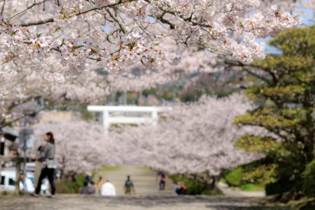 安房神社