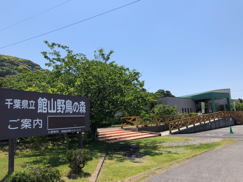 館山野鳥森林